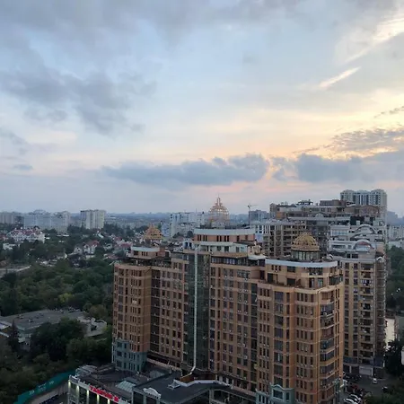 Species видовая Odessza